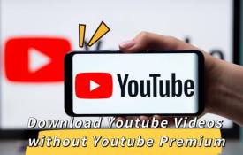 YT Downloader Vs. Online Video Converters: Which Is Better